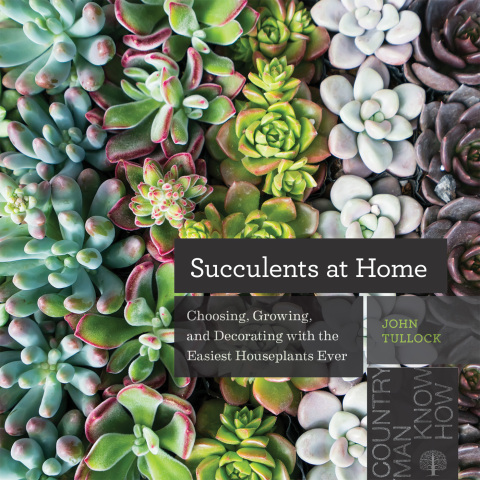 Cover image for book Succulents at Home
