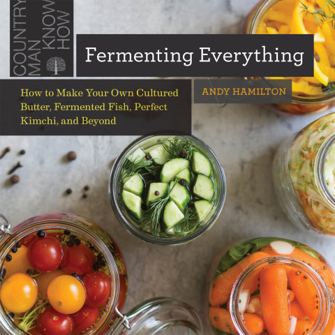 Cover image for book Fermenting Everything