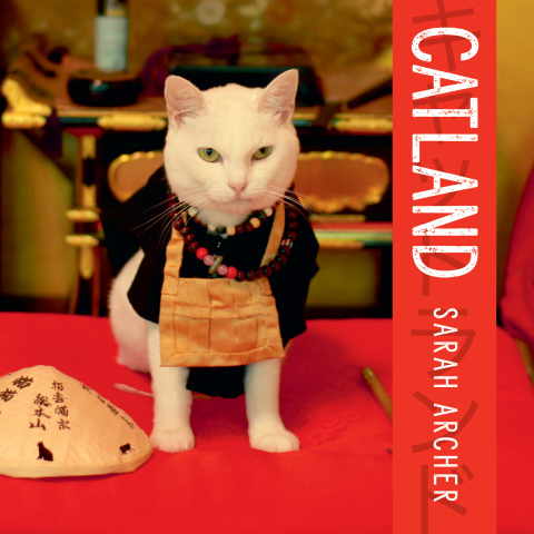 Cover image for book Catland