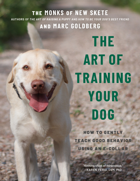 Cover image for book The Art of Training Your Dog