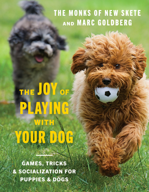 Cover image for book The Joy of Playing with Your Dog: Games, Tricks, & Socialization for Puppies & Dogs