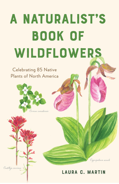 Cover image for book A Naturalist's Book of Wildflowers