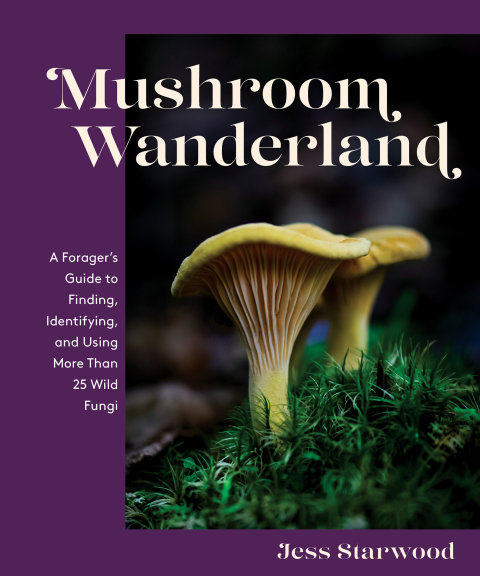 Cover image for book Mushroom Wanderland