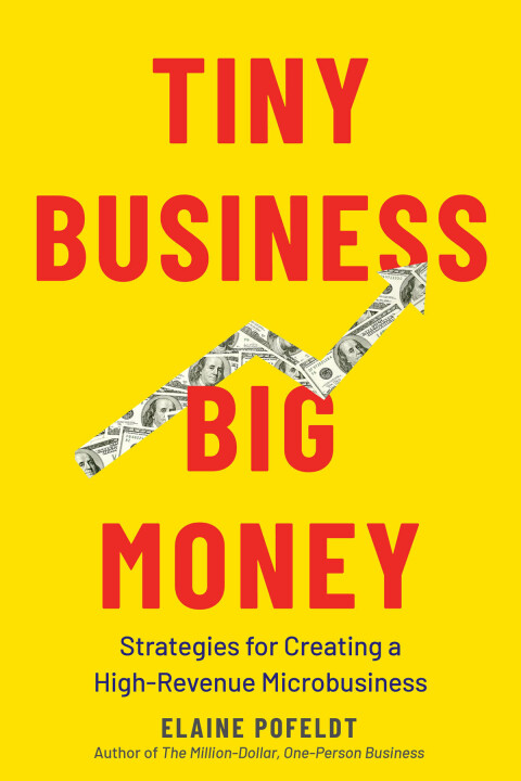 Cover image for book Tiny Business, Big Money