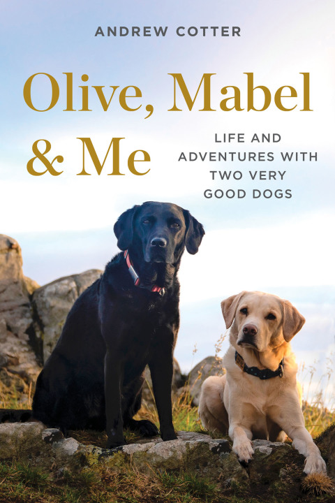 Cover image for book Olive, Mabel & Me