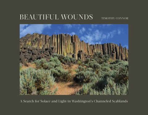 Cover image for book Beautiful Wounds