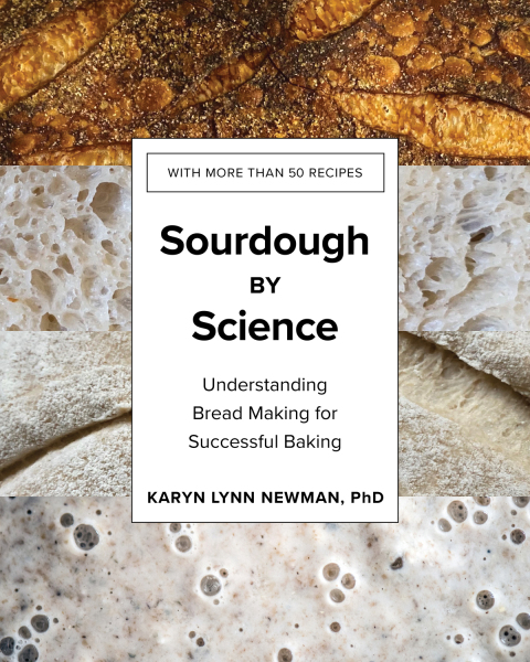 Cover image for book Sourdough by Science