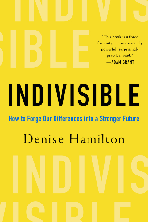 Cover image for book Indivisible