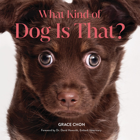 Cover image for book What Kind of Dog Is That?