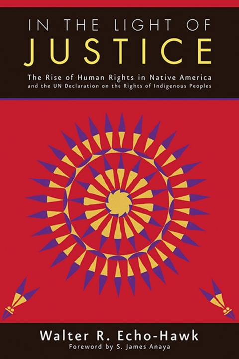 Cover image for book In the Light of Justice