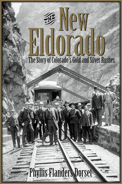Cover image for book The New Eldorado