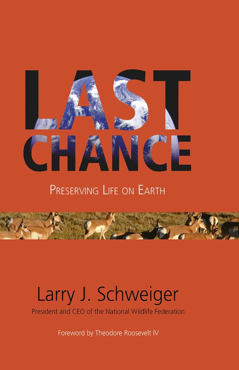 Cover image for book Last Chance