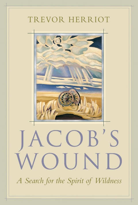 Cover image for book Jacob's Wound