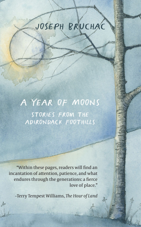 Cover image for book A Year of Moons