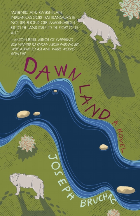 Cover image for book Dawn Land