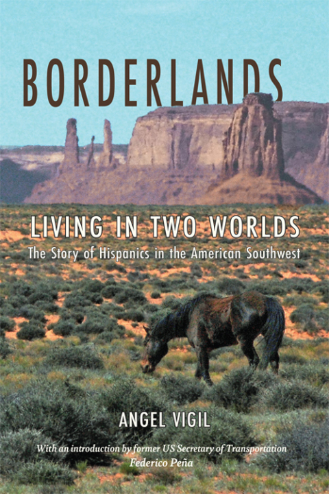 Cover image for book Borderlands