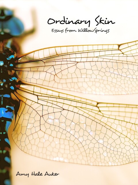 Cover image for book Ordinary Skin