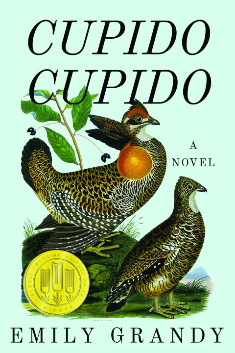 Cover image for book Cupido Cupido