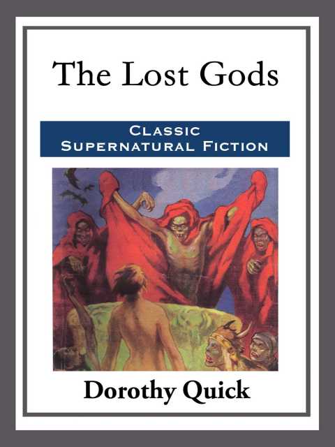 Cover image for book The Lost Gods
