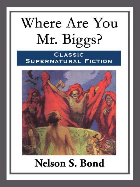Cover image for book Where Are You Mr. Biggs?