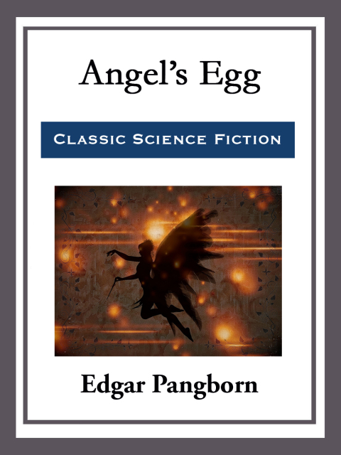 Cover image for book Angel's Egg
