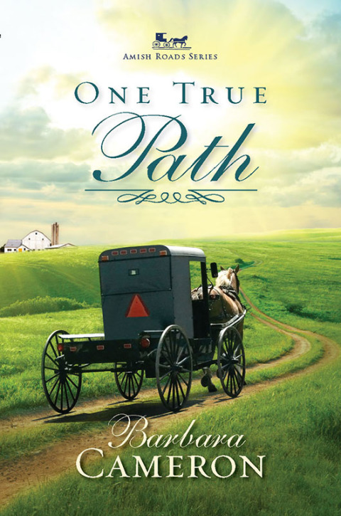 Cover image for book One True Path