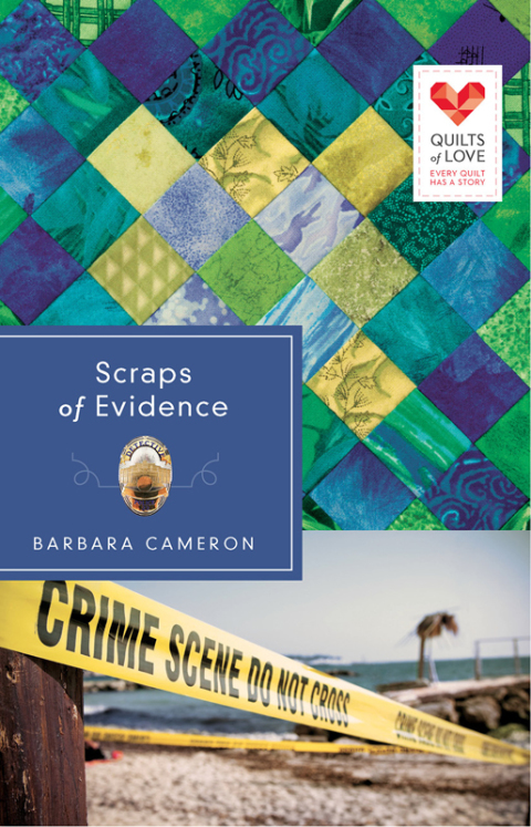 Cover image for book Scraps of Evidence
