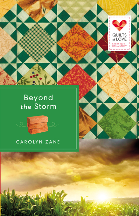 Cover image for book Beyond the Storm