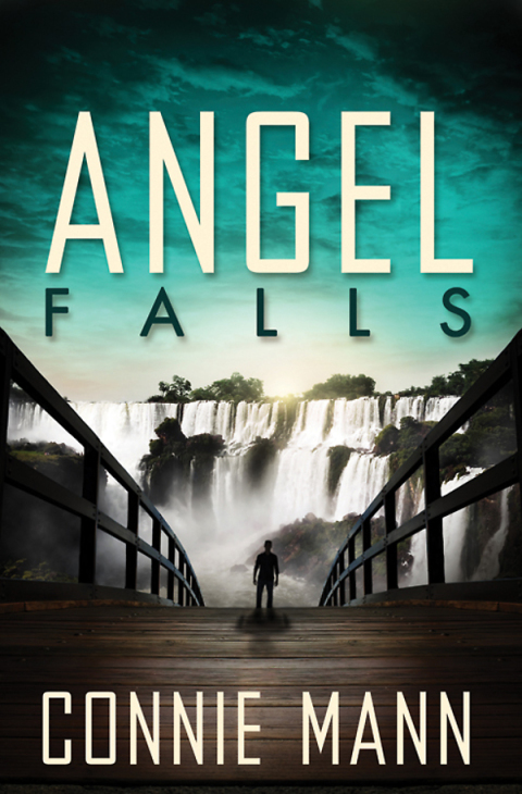 Cover image for book Angel Falls