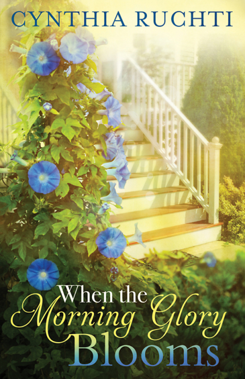 Cover image for book When the Morning Glory Blooms