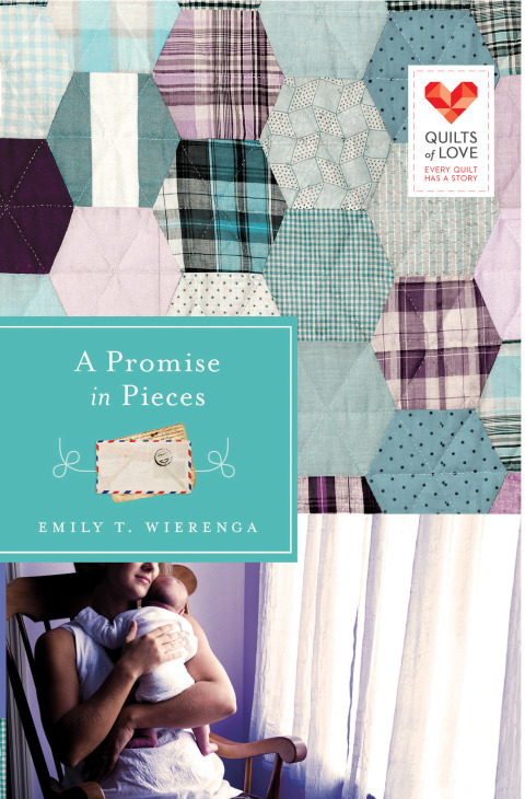 Cover image for book A Promise in Pieces