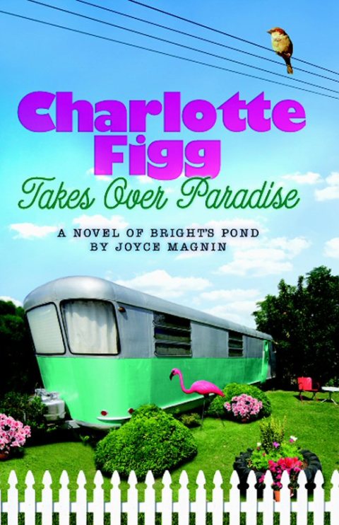 Cover image for book Charlotte Figg Takes Over Paradise
