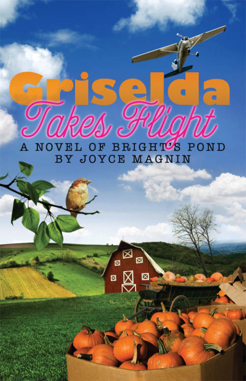 Cover image for book Griselda Takes Flight
