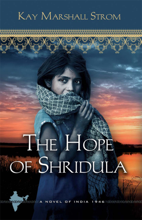 Cover image for book The Hope of Shridula