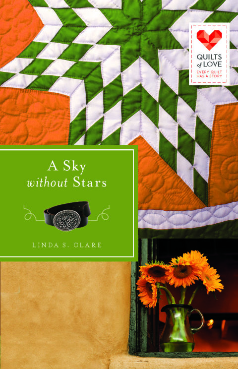Cover image for book A Sky Without Stars