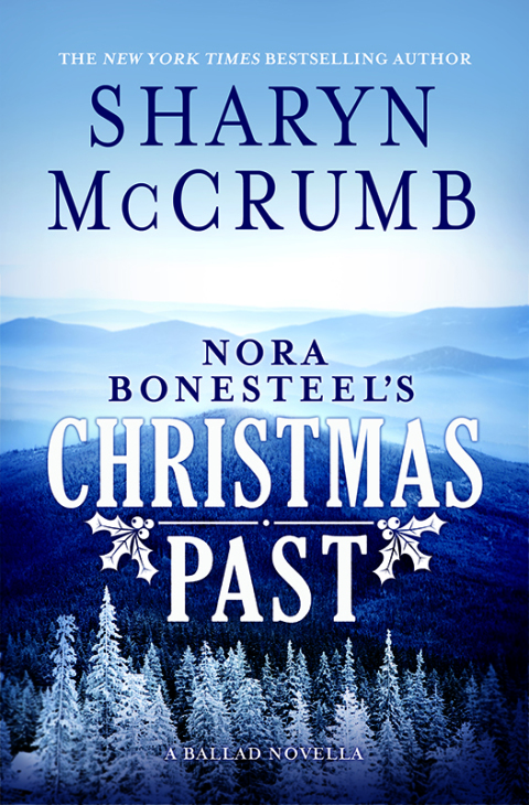 Cover image for book Nora Bonesteel's Christmas Past