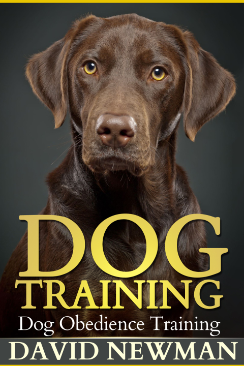 Cover image for book Dog Training