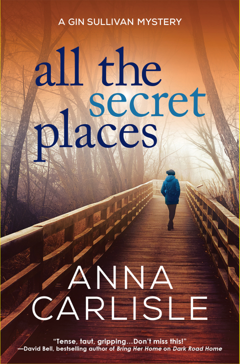 Cover image for book All the Secret Places