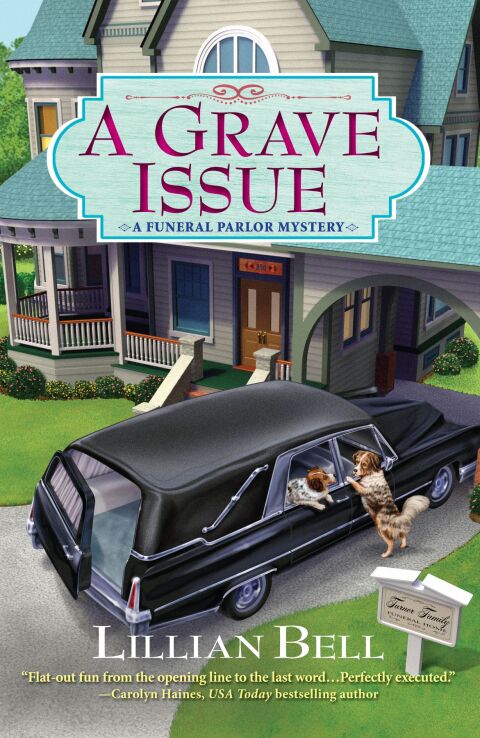 Cover image for book A Grave Issue