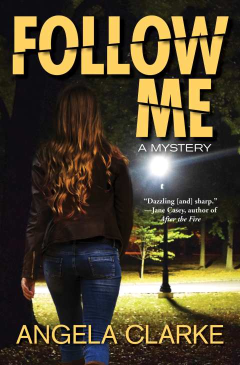 Cover image for book Follow Me