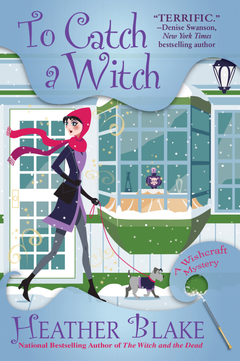 Cover image for book To Catch a Witch