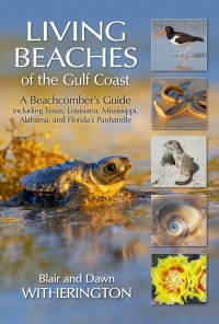 Titelbild: Living Beaches of the Gulf Coast 9781683340560