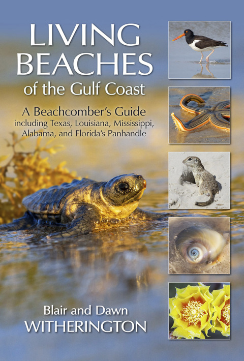 Cover image for book Living Beaches of the Gulf Coast