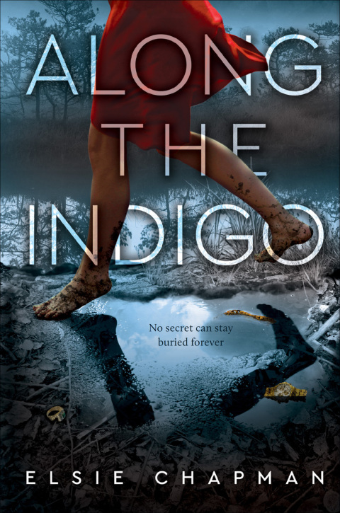 Cover image for book Along the Indigo
