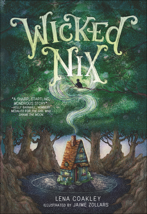 Cover image for book Wicked Nix