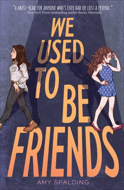 Cover image for book We Used to Be Friends