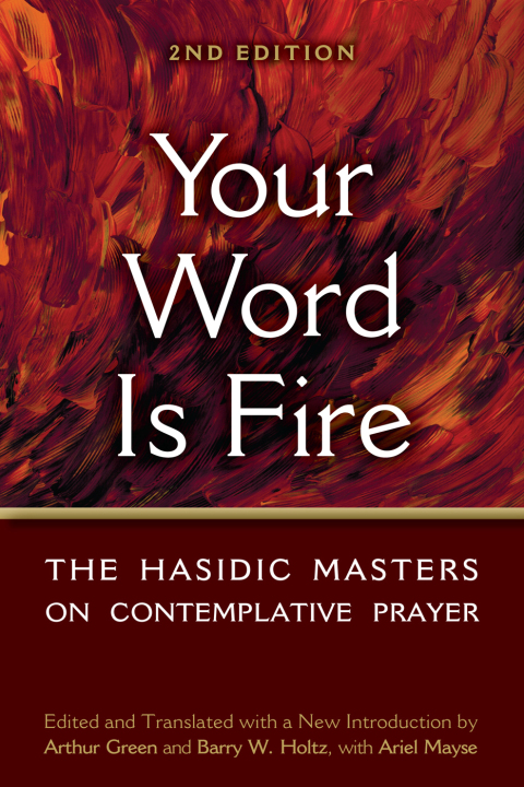 Cover image for book Your Word is Fire