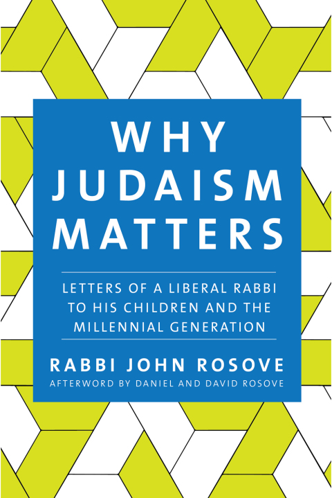 Cover image for book Why Judaism Matters