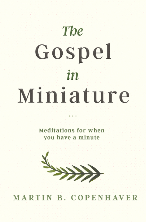 Cover image for book The Gospel in Miniature
