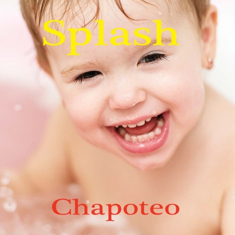 Cover image for book Chapoteo